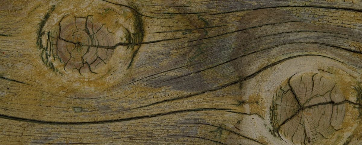 découvrez les approches naturopathiques, une méthode holistique de santé qui privilégie des traitements naturels et préventifs pour favoriser le bien-être et l'équilibre du corps. explorez les bienfaits des plantes, de la nutrition et des techniques de relaxation pour une vie saine.