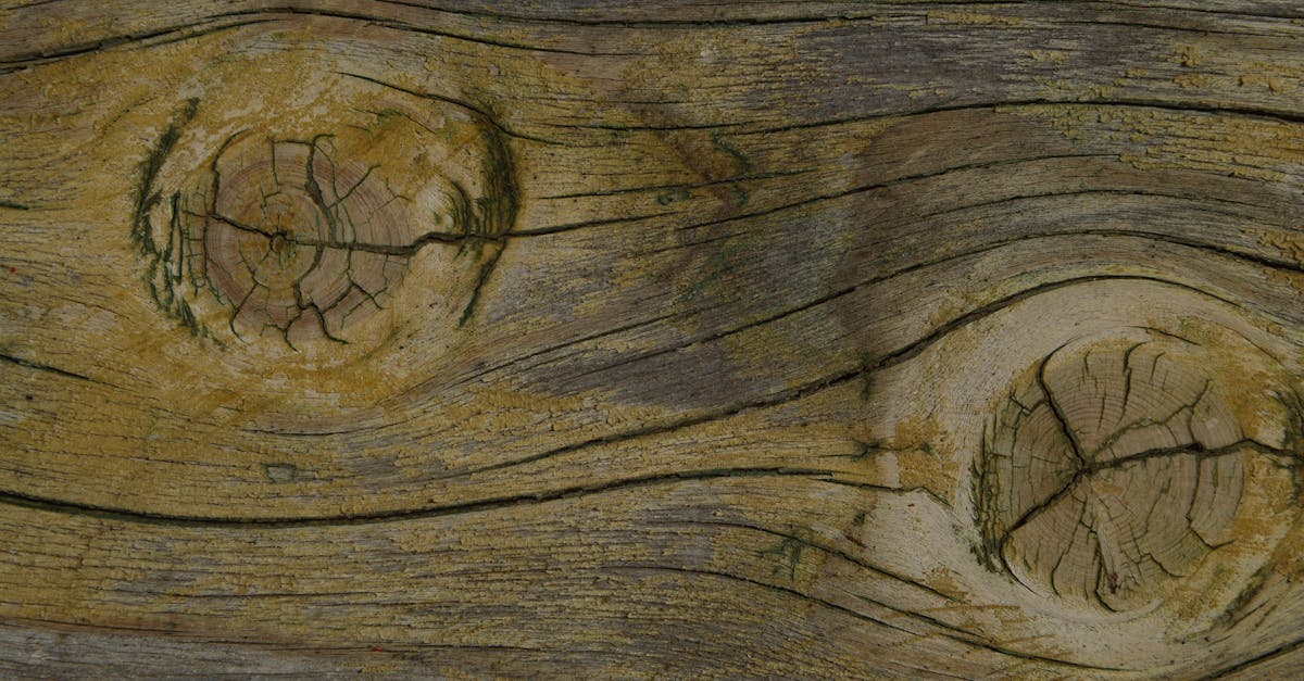 découvrez les approches naturopathiques, une méthode holistique de santé qui privilégie des traitements naturels et préventifs pour favoriser le bien-être et l'équilibre du corps. explorez les bienfaits des plantes, de la nutrition et des techniques de relaxation pour une vie saine.