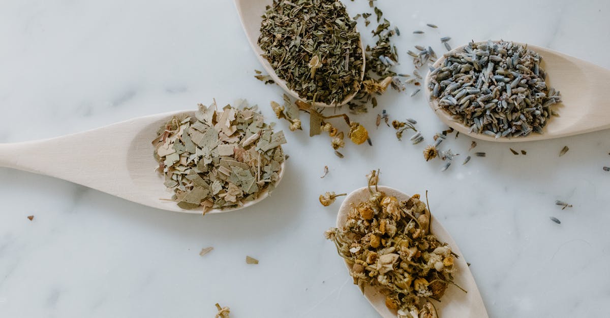 découvrez la naturopathie, une approche holistique de la santé qui utilise des méthodes naturelles pour favoriser le bien-être et l'équilibre du corps. apprenez comment cette médecine douce peut vous aider à prévenir et traiter divers problèmes de santé tout en respectant votre corps.