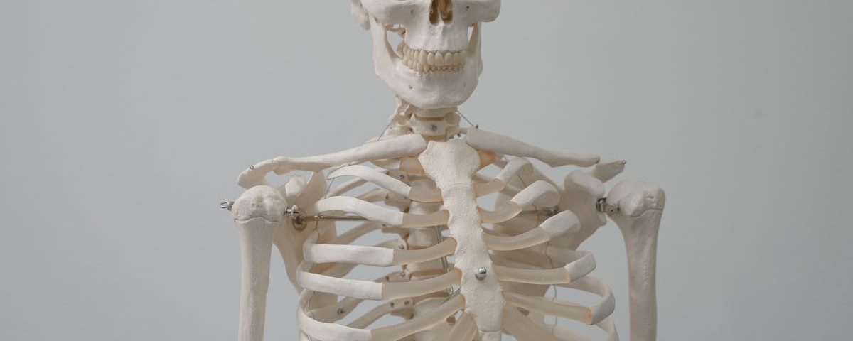 découvrez les manipulations ostéopathiques, une approche douce et efficace pour soulager les douleurs musculaires et articulaires. améliorez votre bien-être grâce à des techniques personnalisées et un accompagnement professionnel en ostéopathie.