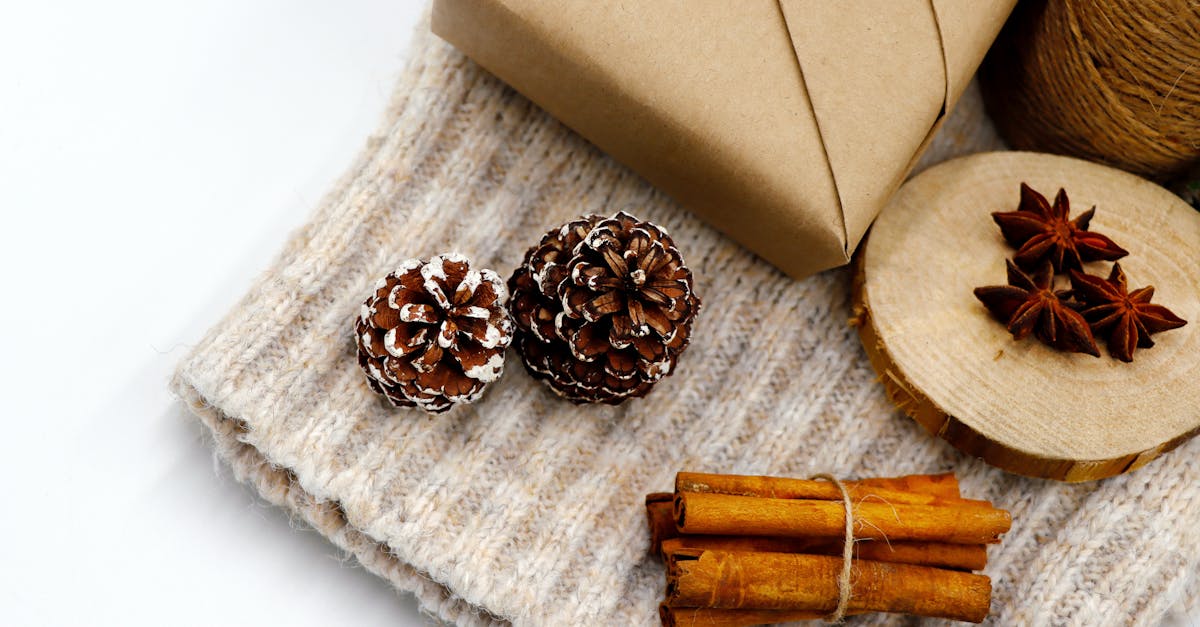 découvrez une approche holistique du bien-être qui intègre le corps, l'esprit et l'âme pour une vie harmonieuse et équilibrée. explorez des méthodes naturelles, des pratiques méditatives et des stratégies de développement personnel pour vous épanouir pleinement.