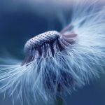 découvrez la naturopathie, une approche holistique de la santé qui favorise le bien-être naturel grâce à des techniques naturelles, des conseils nutritionnels et des remèdes à base de plantes. apprenez à améliorer votre vitalité et votre équilibre intérieur de manière durable.