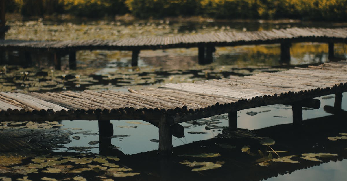 découvrez la décompression neurovertébrale, une méthode innovante pour soulager les douleurs spinales et améliorer la mobilité. apprenez comment cette technique peut favoriser la guérison des disques intervertébraux et renforcer votre bien-être général.