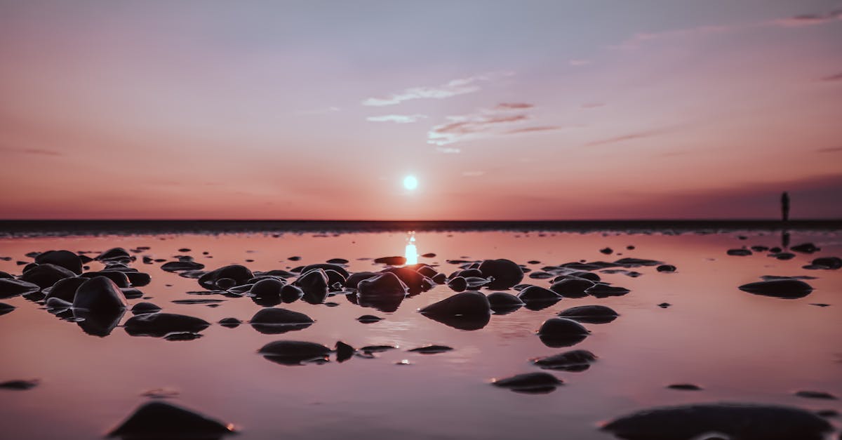découvrez la thérapie par ondes de choc, une méthode innovante et non invasive pour traiter les douleurs musculo-squelettiques et accélérer la guérison. explorez ses bienfaits pour améliorer votre qualité de vie dès aujourd'hui.