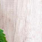 découvrez la naturopathie, une approche holistique de la santé qui utilise des méthodes naturelles pour favoriser le bien-être. apprenez comment cette médecine alternative peut vous aider à équilibrer votre corps et votre esprit grâce à des conseils sur l'alimentation, les plantes médicinales et les techniques de relaxation.