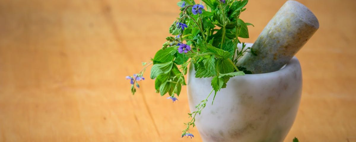 Comment la naturopathie soutient une meilleure concentration 20 découvrez les bienfaits de la naturopathie pour améliorer votre santé et votre bien-être. apprenez à utiliser des approches naturelles et holistiques pour prévenir les maladies et favoriser un style de vie équilibré.