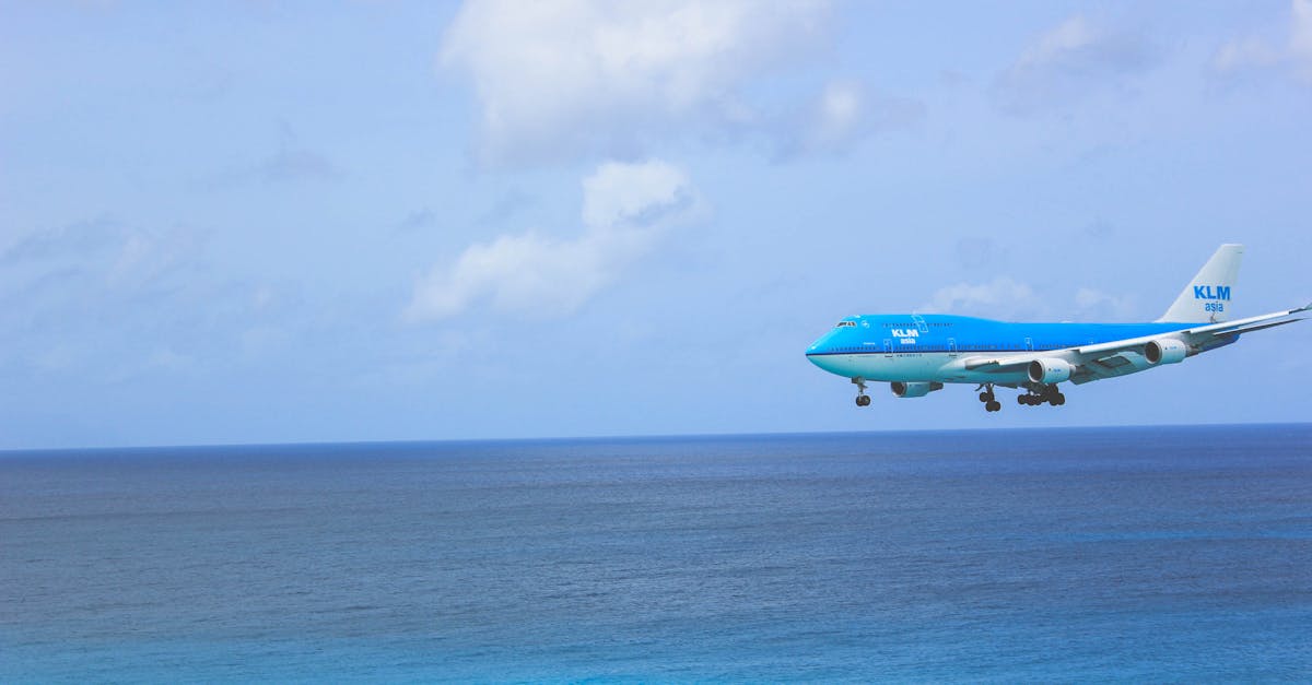 découvrez les approches ostéopathiques, des méthodes holistiques visant à améliorer la santé et le bien-être par le biais de techniques manuelles. apprenez comment l'ostéopathie peut soulager la douleur, améliorer la mobilité et favoriser l'équilibre du corps.