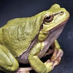 découvrez la décompression neuro-vertébrale, une méthode innovante pour soulager les douleurs dorsales et améliorer la mobilité. cette approche thérapeutique ciblée facilite la régénération des disques intervertébraux et optimise la santé de votre colonne vertébrale. optez pour un bien-être durable grâce à des techniques douces et efficaces.