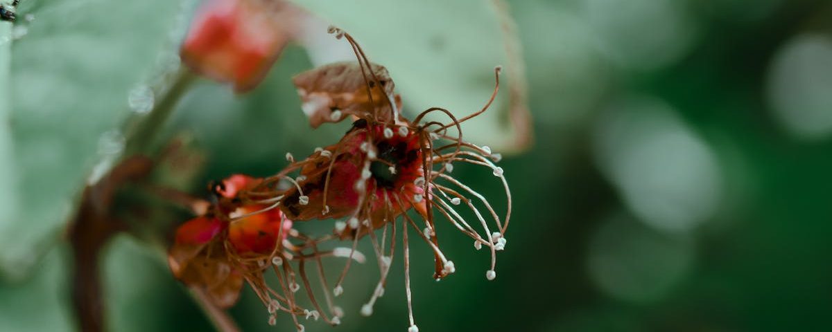 découvrez l'univers fascinant du microbiome, cet écosystème invisible qui influence notre santé, notre digestion et notre bien-être. apprenez comment ces milliards de micro-organismes interagissent avec notre corps et comment optimiser votre microbiote pour une vie saine.