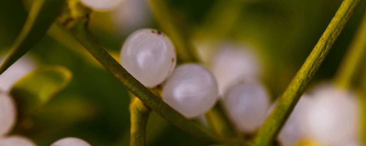 découvrez les bienfaits de la naturopathie avec nos conseils, traitements naturels et approches holistiques pour améliorer votre santé et votre bien-être au quotidien.