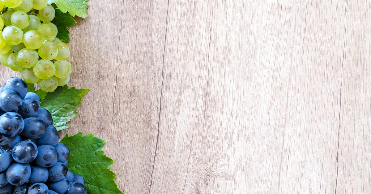 Pourquoi la naturopathie est essentielle pour une gestion holistique de la douleur 14 découvrez la naturopathie, une approche holistique de la santé qui utilise des méthodes naturelles pour renforcer le bien-être et prévenir les maladies. apprenez à équilibrer votre corps et votre esprit grâce à des remèdes naturels, une alimentation saine et des techniques de gestion du stress.