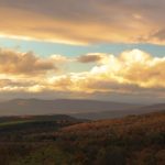 découvrez les bienfaits de la décompression neurovertébrale, une technique innovante visant à soulager les douleurs dorsales et à améliorer la santé de votre colonne vertébrale. explorez comment cette approche peut transformer votre bien-être et vous permettre de retrouver une meilleure qualité de vie.