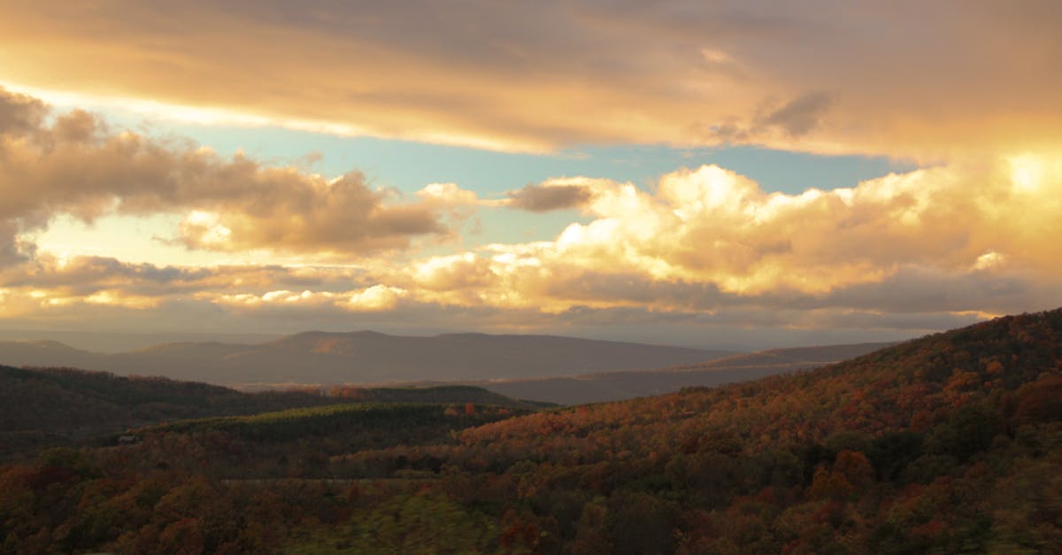 découvrez la décompression neuromusculaire, une approche thérapeutique innovante qui soulage les douleurs musculaires et nerveuses. apprenez comment cette technique peut améliorer votre bien-être et favoriser la récupération musculaire. idéale pour les sportifs et ceux souffrant de douleurs chroniques.