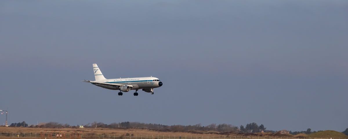 découvrez les approches naturopathiques pour améliorer votre bien-être et adopter un mode de vie sain. apprenez comment la naturopathie allie savoir ancestral et médecine moderne pour traiter les maux de manière naturelle.