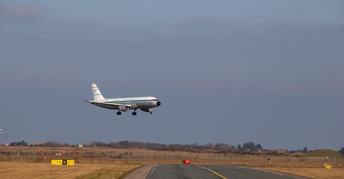 découvrez les approches naturopathiques pour améliorer votre bien-être et adopter un mode de vie sain. apprenez comment la naturopathie allie savoir ancestral et médecine moderne pour traiter les maux de manière naturelle.