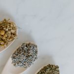 découvrez le pouvoir des plantes médicinales pour améliorer votre santé et bien-être. explorez les bienfaits, les utilisations et les remèdes naturels offerts par ces trésors de la nature.