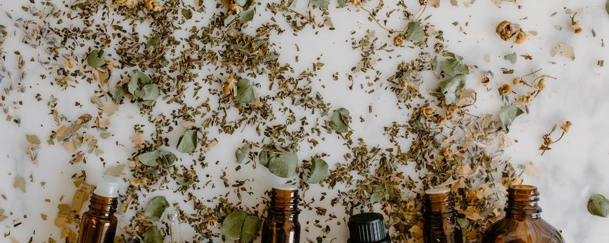 découvrez la naturopathie, une approche holistique de la santé qui utilise des méthodes naturelles pour renforcer votre bien-être. apprenez comment cette pratique peut améliorer votre qualité de vie grâce à des conseils en nutrition, phytothérapie et gestion du stress.