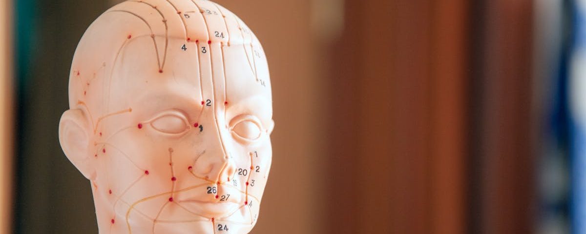 découvrez les bienfaits de la thérapie manuelle, une approche douce et efficace pour soulager les douleurs musculaires et articulaires. améliorez votre bien-être physique grâce à des techniques adaptées à vos besoins.