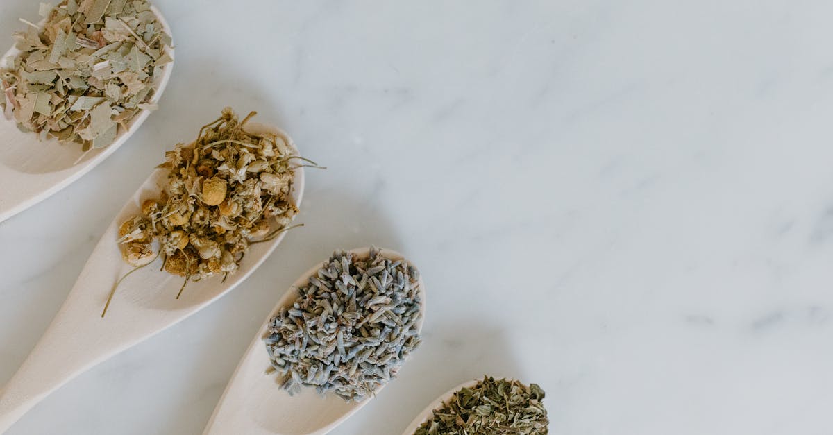 Pourquoi la naturopathie est essentielle pour une bonne santé digestive 16 découvrez la naturopathie, une approche holistique de la santé qui favorise le bien-être par des méthodes naturelles. explorez des techniques de soin, des conseils en nutrition et des remèdes à base de plantes pour équilibrer votre corps et esprit.