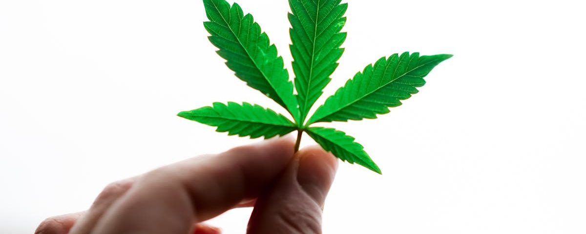 Comment la naturopathie aide à améliorer la concentration et la mémoire 14 découvrez la naturopathie, une approche holistique de la santé qui utilise des méthodes naturelles pour favoriser le bien-être. apprenez comment cette discipline alternative peut vous aider à équilibrer votre corps et votre esprit, tout en prévenant les maladies et en améliorant votre qualité de vie.