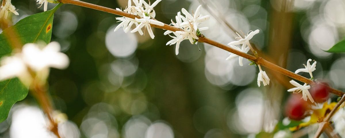 découvrez les bienfaits de la naturopathie, une approche de santé holistique qui privilégie les traitements naturels pour rétablir l'équilibre du corps et de l'esprit. explorez des conseils, des remèdes simples et des techniques pour améliorer votre bien-être au quotidien.