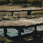 découvrez la neuroverbal décompression, une approche innovante qui allie neurosciences et techniques verbales pour libérer le stress émotionnel et favoriser le bien-être psychologique. apprenez à mieux comprendre vos émotions et à les gérer efficacement.