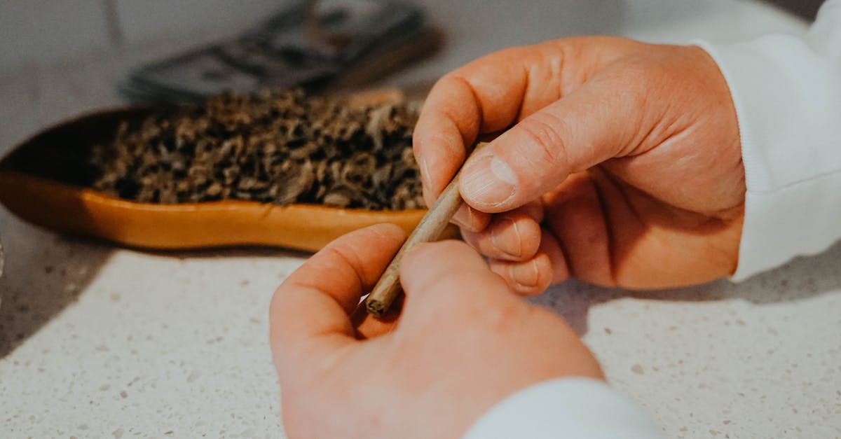 découvrez les multiples bienfaits de la thérapie manuelle pour soulager les douleurs, améliorer la mobilité et favoriser la guérison. apprenez comment cette approche holistique peut contribuer à votre bien-être physique et mental.