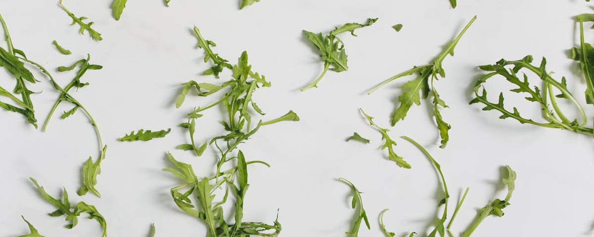 découvrez les bienfaits des plantes anti-inflammatoires pour soulager douleurs et inflammations naturellement. apprenez à intégrer ces trésors de la nature dans votre quotidien pour améliorer votre santé et votre bien-être.