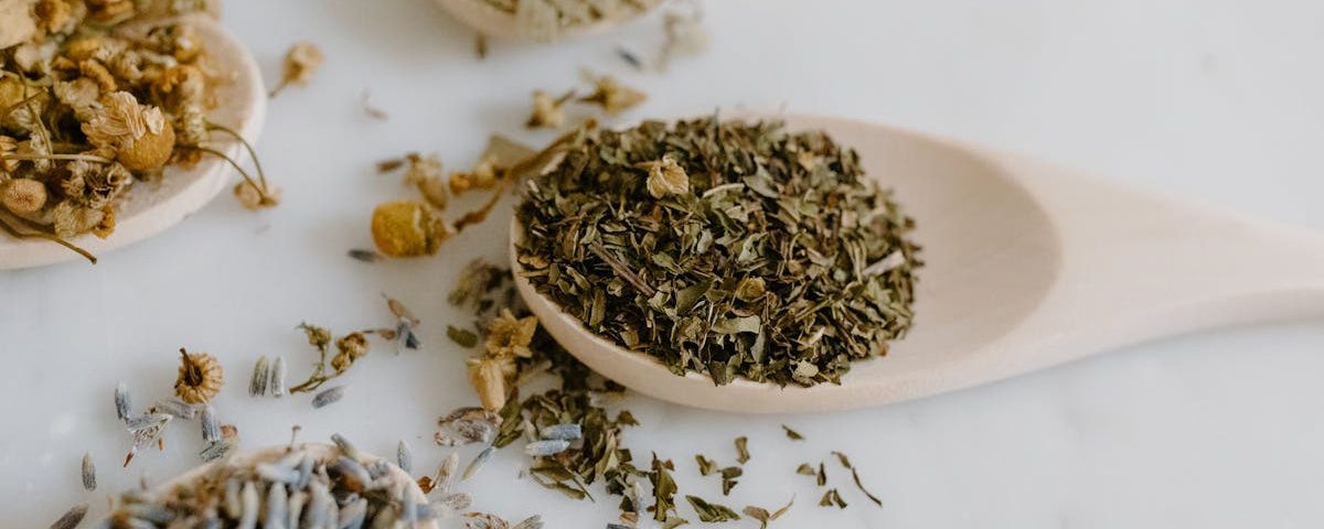 découvrez des remèdes naturels efficaces pour améliorer votre bien-être. explorez des solutions à base de plantes, d'huiles essentielles et de techniques ancestrales pour soulager divers maux et promouvoir une santé optimale de manière holistique.