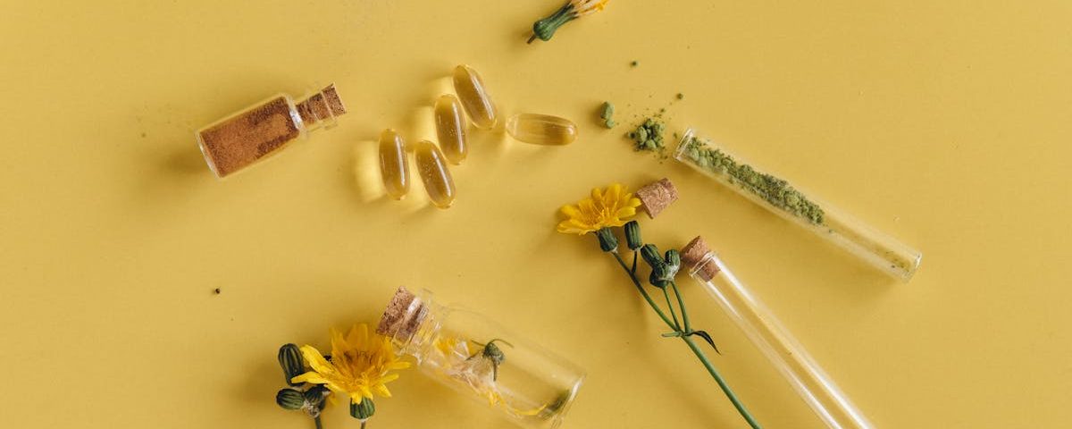 découvrez l'art de la naturopathie, une approche holistique de la santé qui utilise des méthodes naturelles pour favoriser le bien-être. apprenez comment cette pratique peut vous aider à équilibrer votre corps et votre esprit, tout en prévenant les maladies grâce à des techniques telles que l'alimentation, la phytothérapie et la gestion du stress.