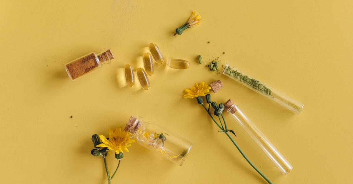 découvrez l'art de la naturopathie, une approche holistique de la santé qui utilise des méthodes naturelles pour favoriser le bien-être. apprenez comment cette pratique peut vous aider à équilibrer votre corps et votre esprit, tout en prévenant les maladies grâce à des techniques telles que l'alimentation, la phytothérapie et la gestion du stress.