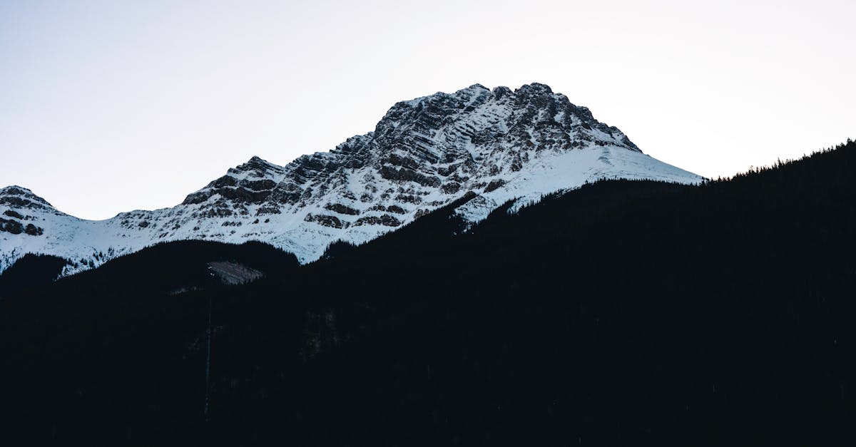 démystifiez les idées reçues sur la décompression neuro-spinale. découvrez la vérité derrière les mythes courants, les bénéfices réels de cette thérapie et comment elle peut améliorer votre bien-être spinale. informez-vous pour prendre des décisions éclairées sur votre santé.