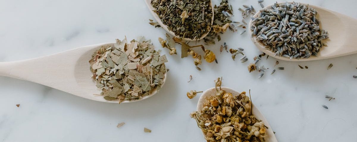 découvrez la naturopathie, une approche de santé naturelle qui privilégie le bien-être holistique. apprenez à équilibrer votre corps et votre esprit grâce à des méthodes préventives et des remèdes naturels, tout en améliorant votre qualité de vie.