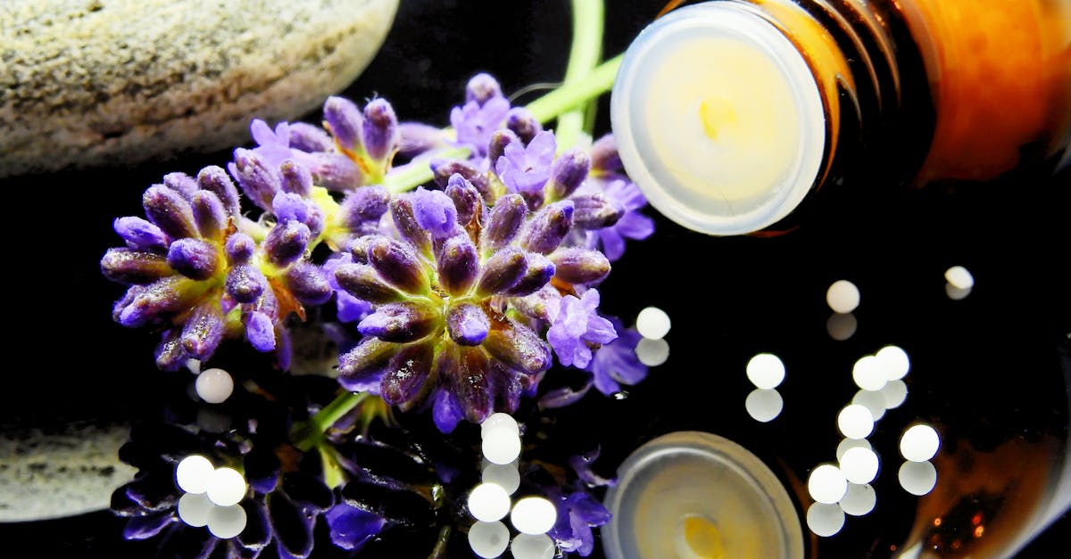 découvrez les bienfaits de la naturopathie, une approche holistique de la santé visant à rétablir l'équilibre du corps et de l'esprit grâce à des méthodes naturelles. apprenez comment cette pratique peut vous aider à renforcer votre vitalité, à prévenir les maladies et à améliorer votre bien-être au quotidien.