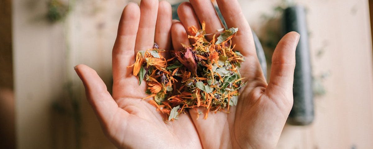 découvrez les bienfaits de la naturopathie, une approche holistique de la santé qui utilise des méthodes naturelles pour favoriser le bien-être physique et mental. apprenez comment des pratiques telles que l'alimentation équilibrée, les plantes médicinales et la gestion du stress peuvent transformer votre vie et vous aider à atteindre un équilibre durable.