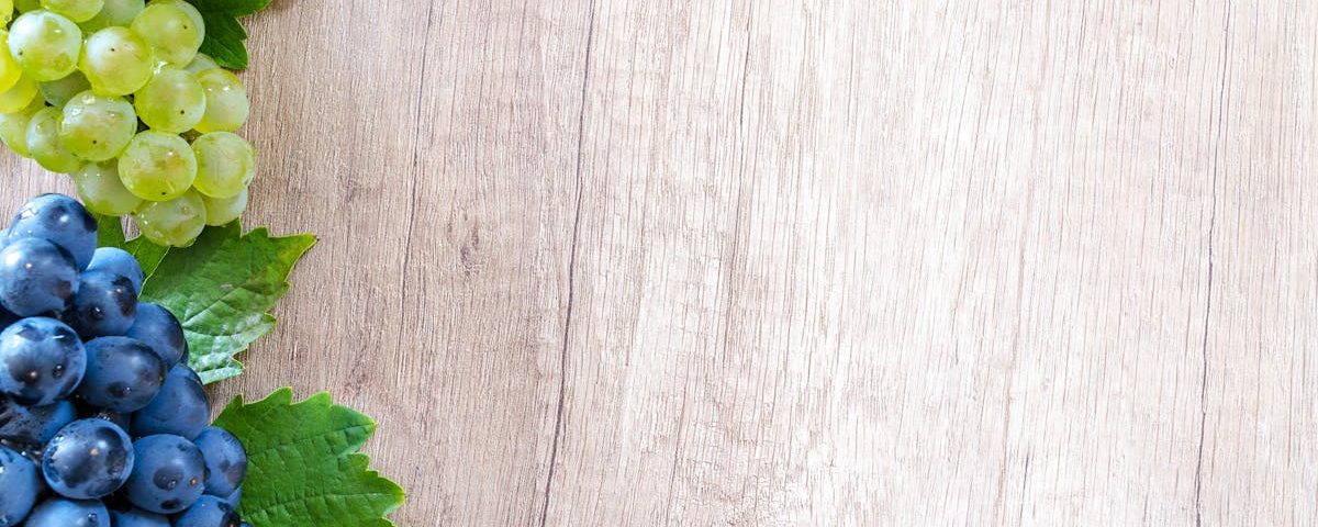 découvrez la naturopathie, une approche holistique de santé qui privilégie le bien-être naturel. explorez des méthodes de soins préventifs et curatifs visant à rétablir l'équilibre du corps et de l'esprit grâce à des plantes, une alimentation saine et des pratiques de vie saines.