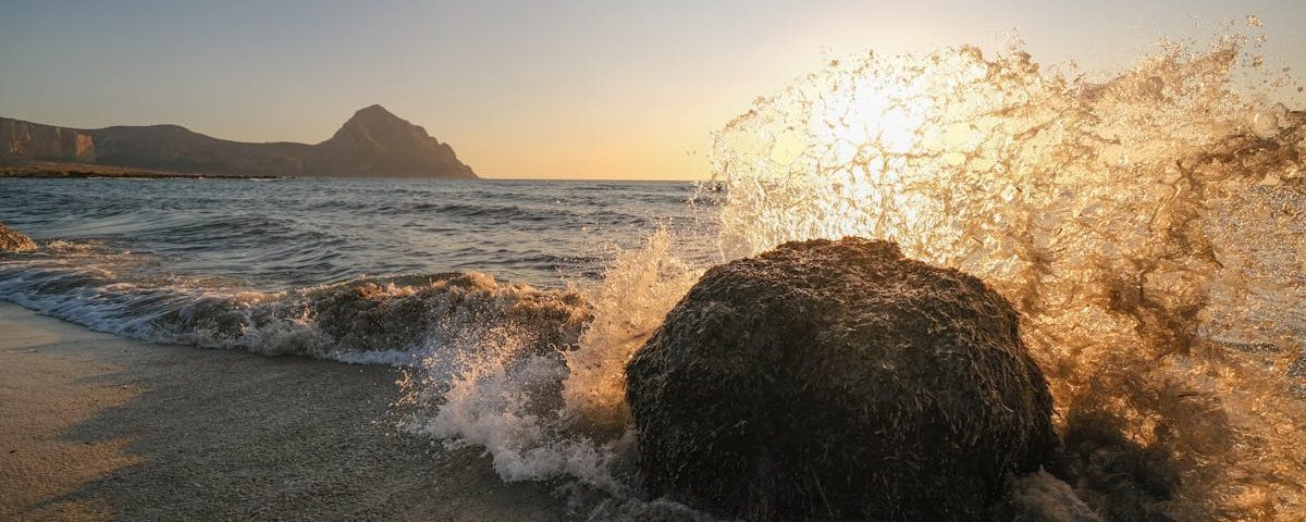 découvrez la thérapie par ondes de choc, une méthode innovante et non invasive pour traiter la douleur musculo-squelettique. améliorez votre qualité de vie et retrouvez mobilité et bien-être grâce à cette technique efficace et moderne.