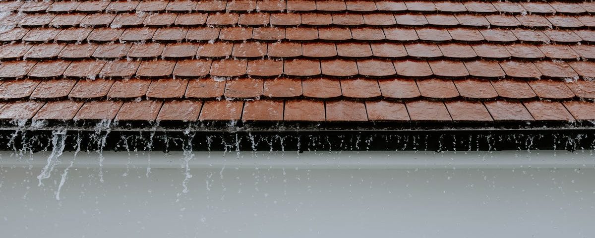 découvrez les techniques de drainage pour optimiser l'évacuation des eaux et améliorer la santé de votre sol. apprenez comment prévenir l'accumulation d'eau et favoriser la croissance de vos plantes.