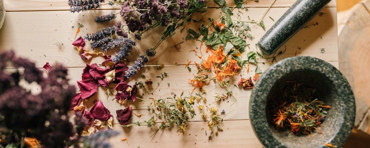 découvrez des remèdes naturels efficaces pour améliorer votre bien-être. explorez des solutions saines et respectueuses de l'environnement pour soulager divers maux et renforcer votre santé au quotidien.