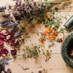 découvrez des remèdes naturels efficaces pour améliorer votre bien-être. explorez des solutions saines et respectueuses de l'environnement pour soulager divers maux et renforcer votre santé au quotidien.