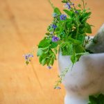 découvrez les bienfaits de la naturopathie, une approche holistique de la santé qui utilise des méthodes naturelles pour favoriser le bien-être physique et émotionnel. explorez des conseils de nutrition, des remèdes à base de plantes et des techniques de relaxation pour améliorer votre qualité de vie.