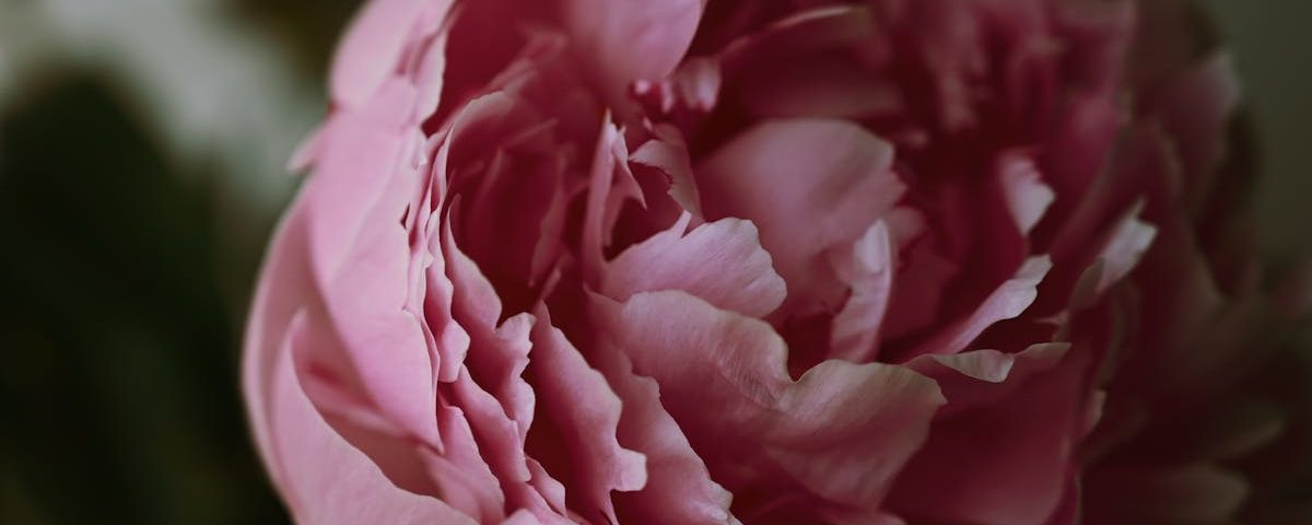 découvrez la thérapie par onde de choc, une méthode innovante pour soulager la douleur et stimuler la guérison. cette approche non invasive est utilisée pour traiter diverses affections musculo-squelettiques, améliorant votre qualité de vie et favorisant une récupération rapide. informez-vous sur ses bénéfices et trouvez un thérapeute près de chez vous.