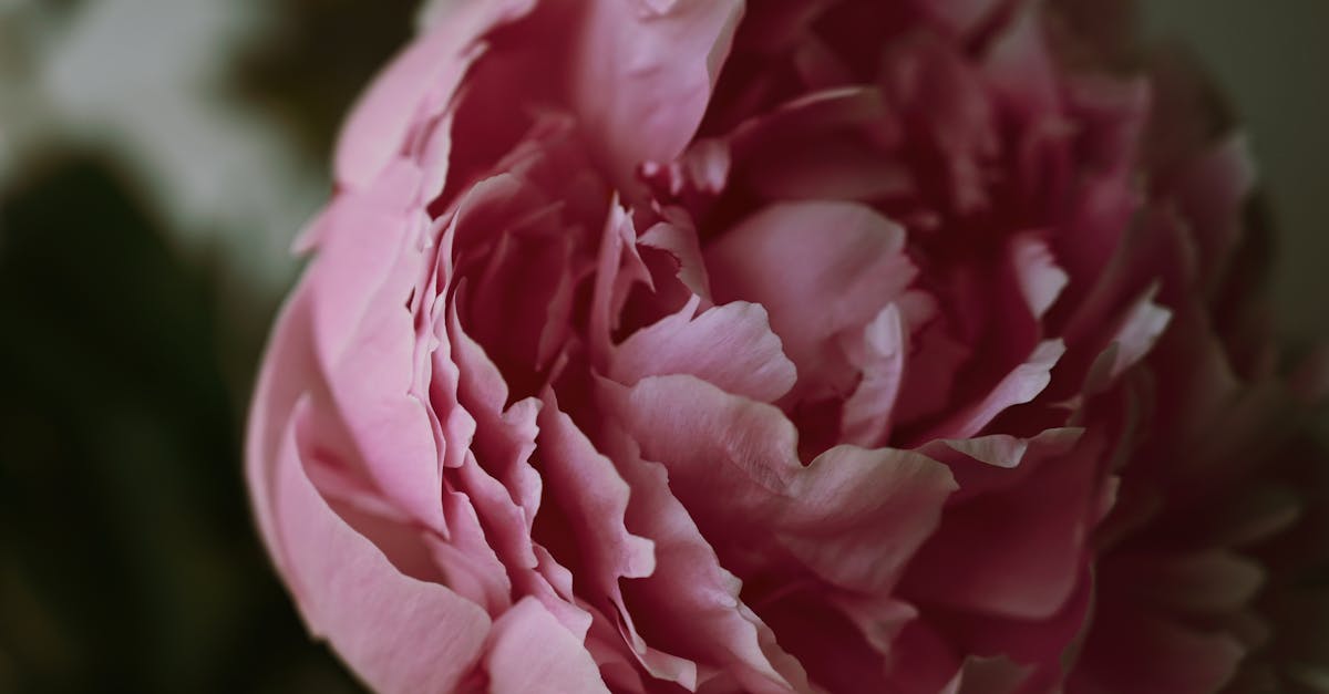 découvrez la thérapie par onde de choc, une méthode innovante pour soulager la douleur et stimuler la guérison. cette approche non invasive est utilisée pour traiter diverses affections musculo-squelettiques, améliorant votre qualité de vie et favorisant une récupération rapide. informez-vous sur ses bénéfices et trouvez un thérapeute près de chez vous.