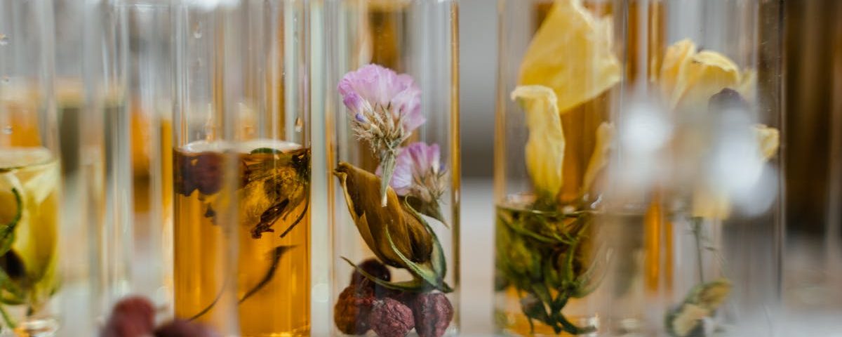 découvrez la thérapie par ondes de choc, une méthode innovante pour soulager la douleur chronique et favoriser la guérison des blessures musculosquelettiques. grâce à des traitements non invasifs, améliorez votre qualité de vie et retrouvez votre mobilité.