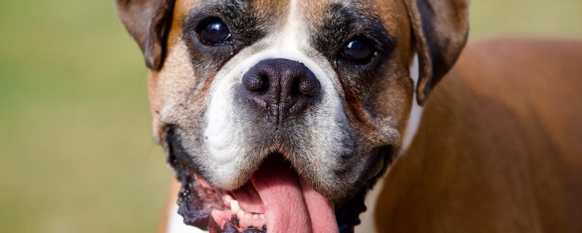 découvrez la décompression vertébrale, une méthode efficace pour soulager les douleurs dorsales et améliorer votre bien-être. en ciblant les causes de l’inconfort, cette approche vise à restaurer la santé de votre colonne vertébrale, vous permettant de retrouver mobilité et qualité de vie.