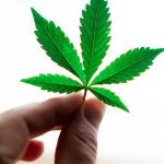 découvrez les bienfaits de la naturopathie, une approche douce et naturelle pour promouvoir votre santé et bien-être. apprenez à utiliser des méthodes holistiques pour équilibrer votre corps et votre esprit grâce à des conseils personnalisés en nutrition, phytothérapie et mode de vie.