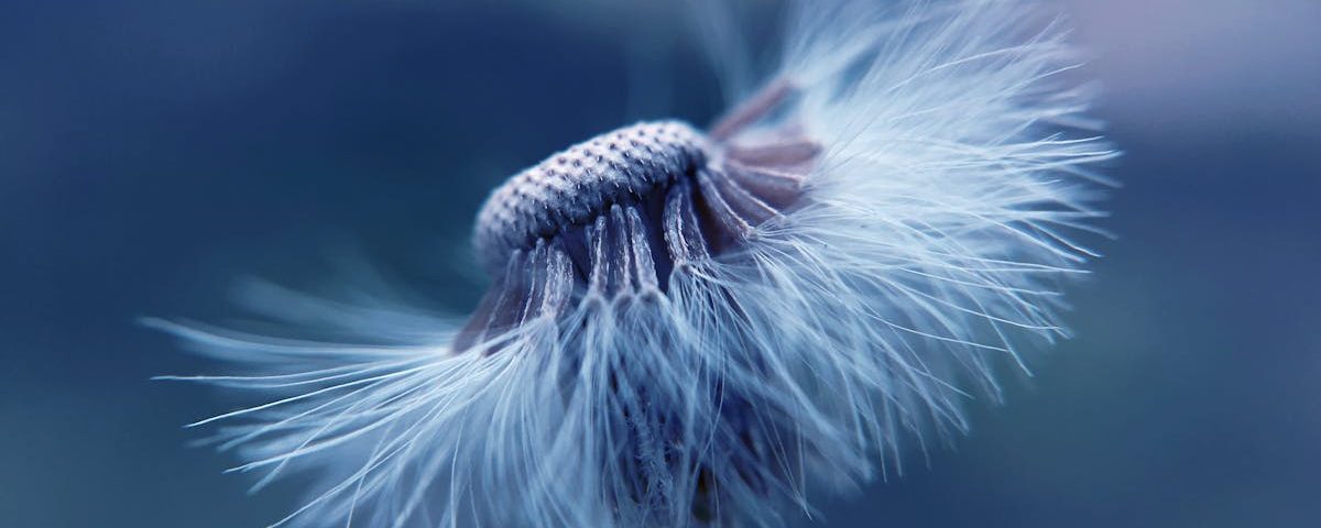 découvrez la naturopathie, une approche holistique de la santé qui utilise des méthodes naturelles pour renforcer votre bien-être et favoriser la guérison. apprenez à équilibrer votre corps et votre esprit grâce à des conseils personnalisés en alimentation, phytothérapie et techniques de relaxation.