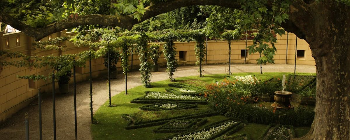 découvrez les bienfaits des plantes adaptogènes pour harmoniser votre corps et votre esprit. apprenez comment ces superbes plantes aident à réduire le stress, améliorer votre énergie et favoriser votre bien-être général.