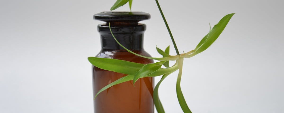 découvrez les bienfaits de l'aromathérapie, une pratique naturelle qui utilise les huiles essentielles pour améliorer le bien-être physique et mental. plongez dans l'univers des senteurs et transformez votre quotidien en harmonie avec la nature.