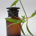 découvrez les bienfaits de l'aromathérapie, une pratique naturelle qui utilise les huiles essentielles pour améliorer le bien-être physique et mental. plongez dans l'univers des senteurs et transformez votre quotidien en harmonie avec la nature.